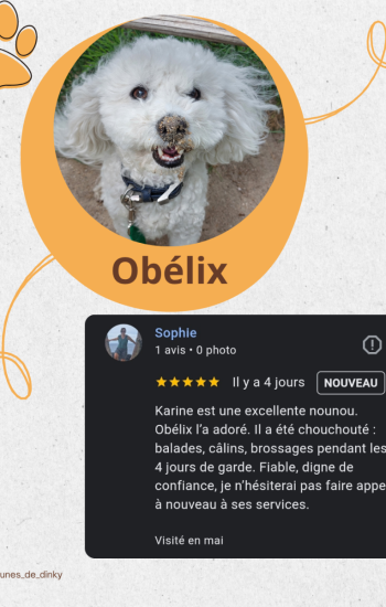 AVIS DES CLIENTS - AVIS_10_Obélix