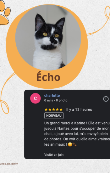 AVIS DES CLIENTS - AVIS_11_Écho