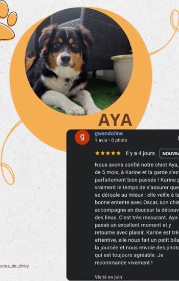 AVIS DES CLIENTS - AVIS_12_Aya