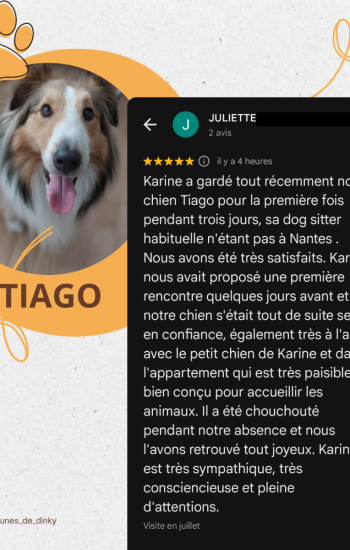 AVIS DES CLIENTS - AVIS_13_Aya