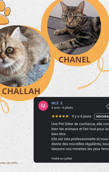 AVIS DES CLIENTS - AVIS_14_Challah_Chanel