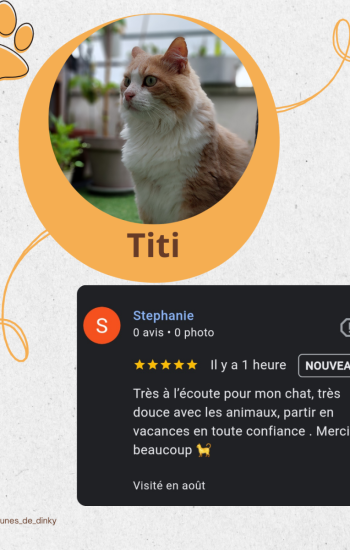 AVIS DES CLIENTS - AVIS_15_Titi