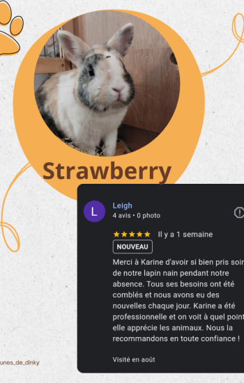 AVIS DES CLIENTS - AVIS_17_Strawberry