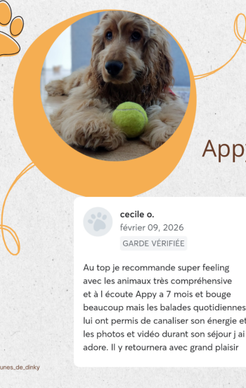 AVIS DES CLIENTS - AVIS_19_Appy