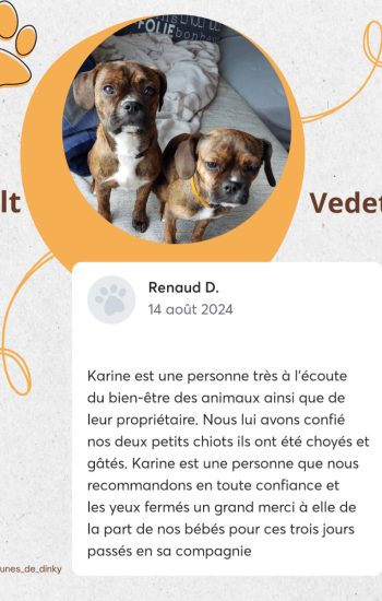 LES PATTOUNES DE DINKY - AVIS_1_volt_vedette