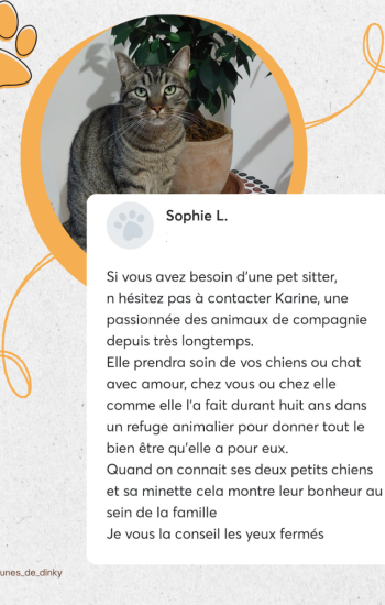 LES PATTOUNES DE DINKY - AVIS_3_simba