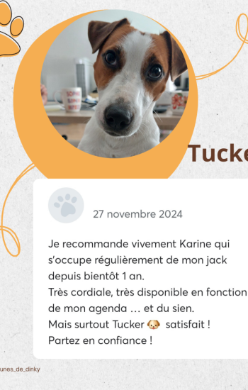 LES PATTOUNES DE DINKY - AVIS_4_tucker