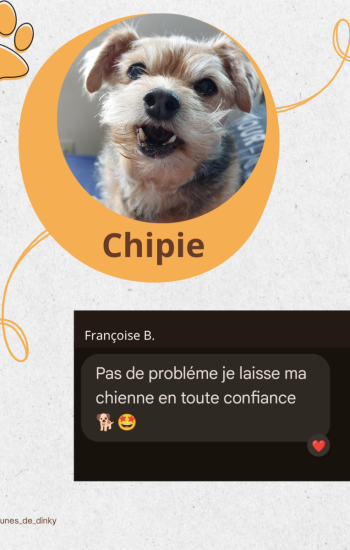 LES PATTOUNES DE DINKY - AVIS_5_chipie