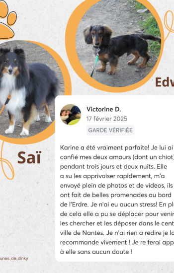 LES PATTOUNES DE DINKY - AVIS_6_sai_edwy