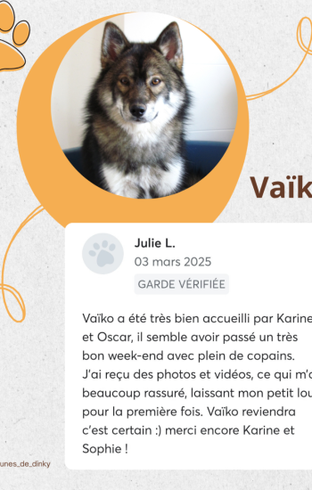 LES PATTOUNES DE DINKY - AVIS_7_vaiko