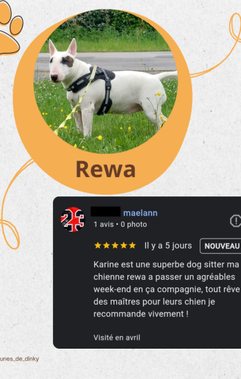 LES PATTOUNES DE DINKY - AVIS_8_rewa