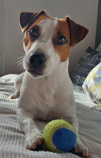 TUCKER TUCKER