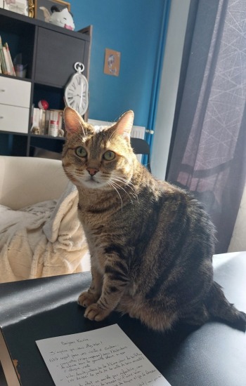 GASTON DOUDOU GASTON DOUDOU