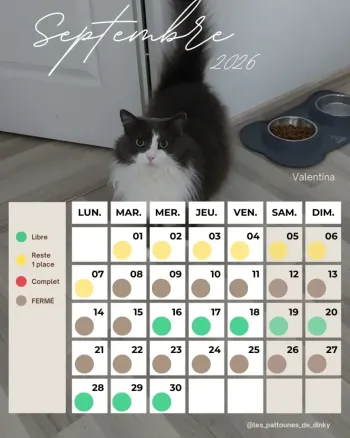 09_SEPTEMBRE_2026-1