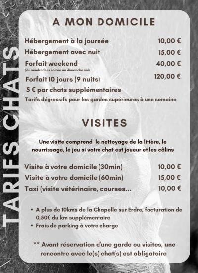 LES PATTOUNES DE DINKY - TARIFS CHATS