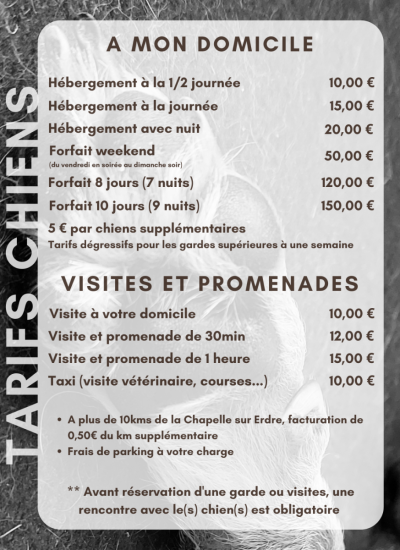 LES PATTOUNES DE DINKY - TARIFS CHIENS