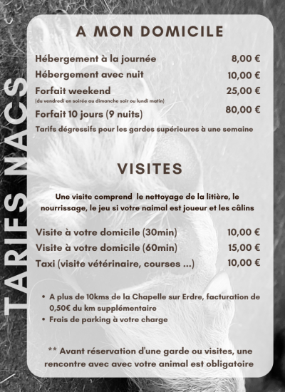 LES PATTOUNES DE DINKY - TARIFS NACS