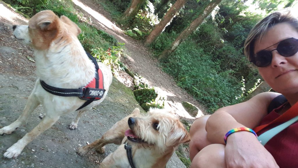 les pattounes de dinky
qui suis-je
