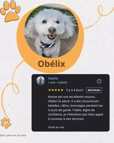 Avis Obélix