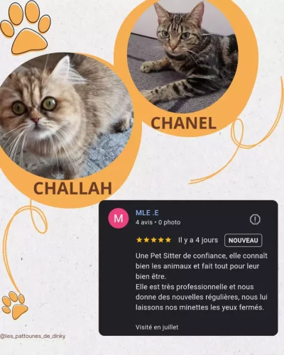 Avis Challah et Chanel