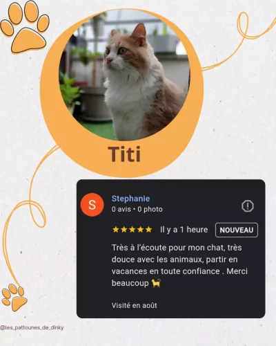 Avis Titi