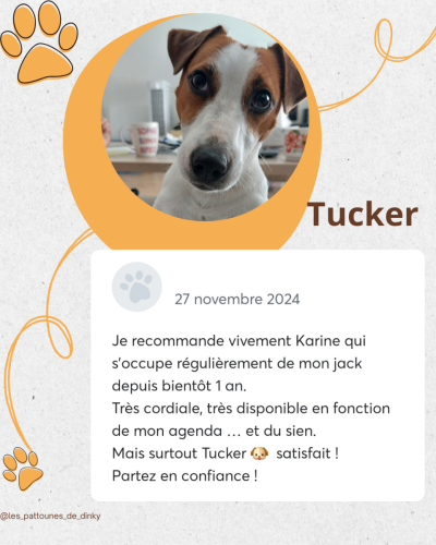 Avis Tucker